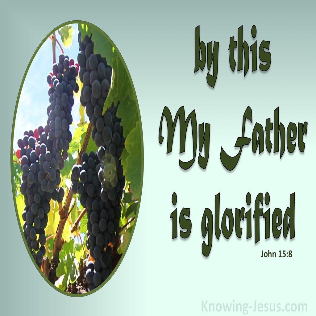 John 15:8 My Father Is Glorified When You Bear Much Fruit (green)
